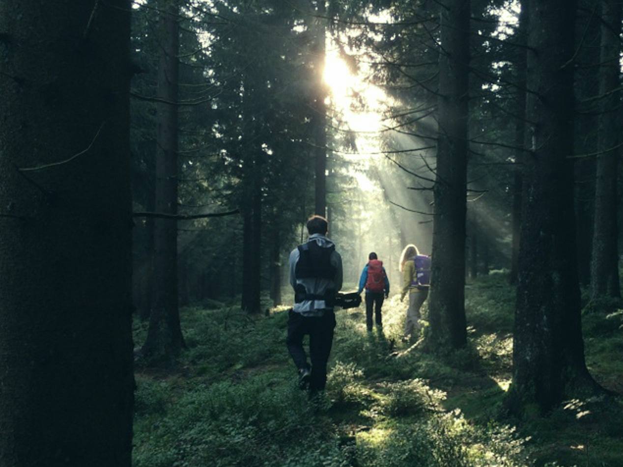 Harzer Hexenstieg mal anders: Filmdreh in den Wäldern des Nationalparks