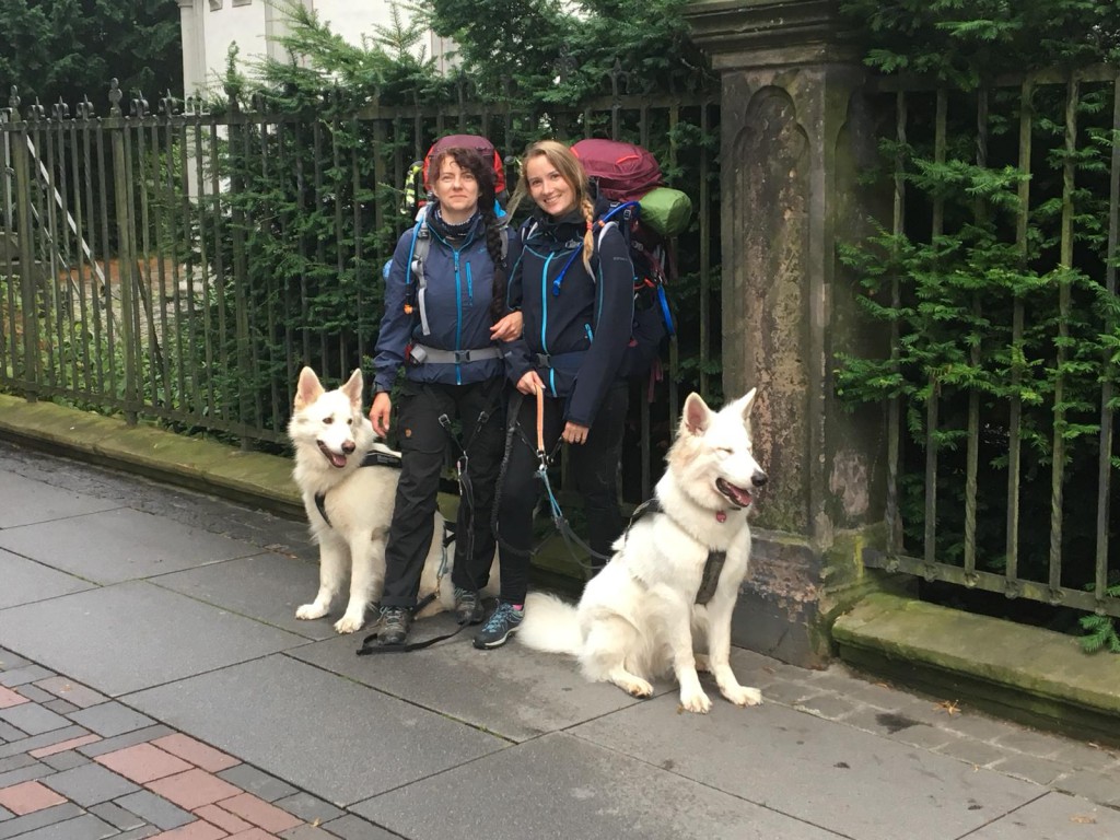 Pilgern mit Hund auf dem Harzer Klosterwanderweg