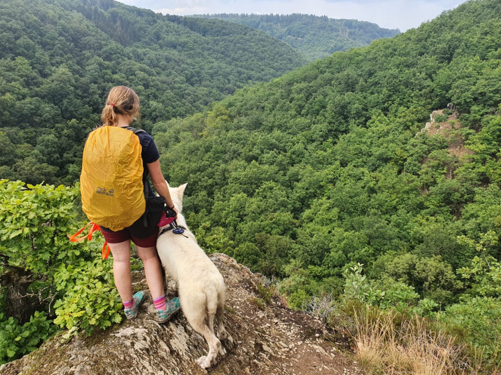 Top 15 Gadgets fürs Wandern mit Hund