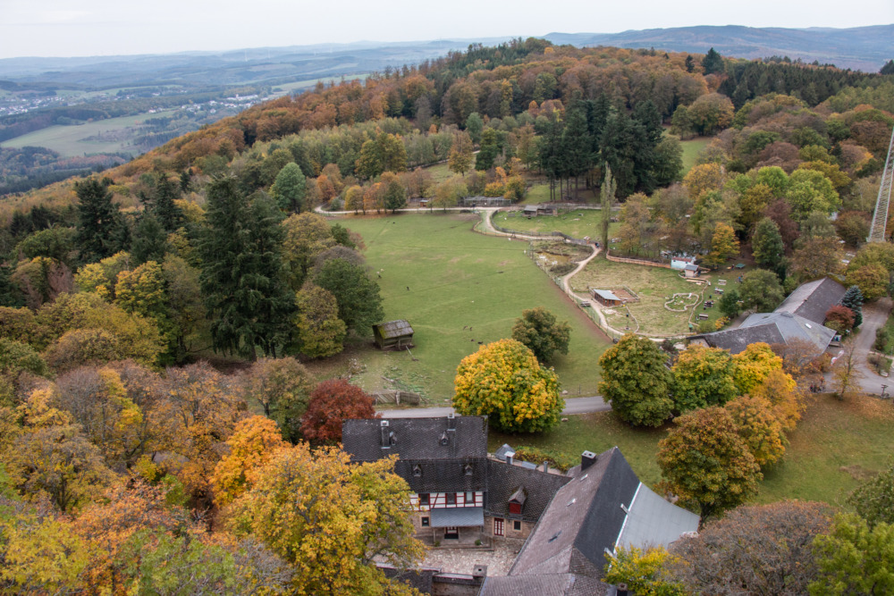 Burg Wildenburg - Ausblick vom Turm