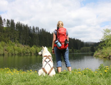 Wandern mit Hund im Oberharz: 5 Sommer-Touren