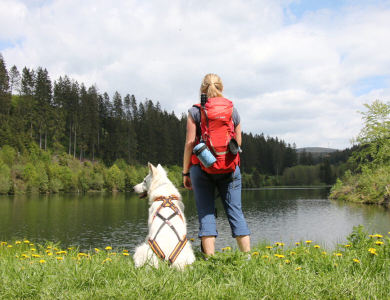 Wandern mit Hund im Oberharz: 5 Sommer-Touren