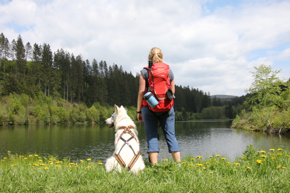Wandern mit Hund in der Oberharzer Wasserwirtschaft