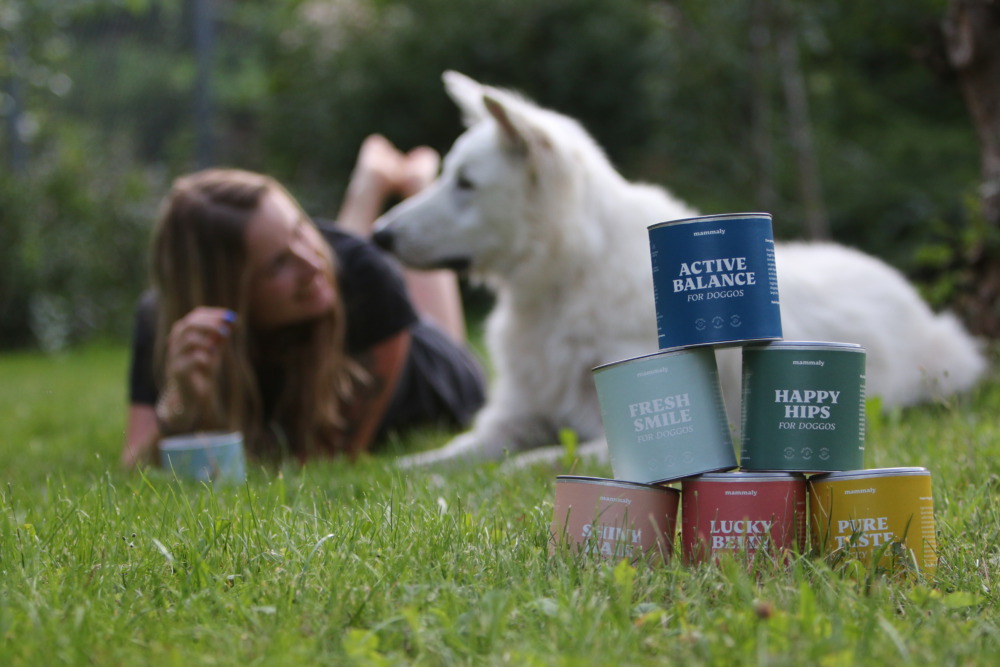 Gesunde Hunde-Leckerlis von Mammaly