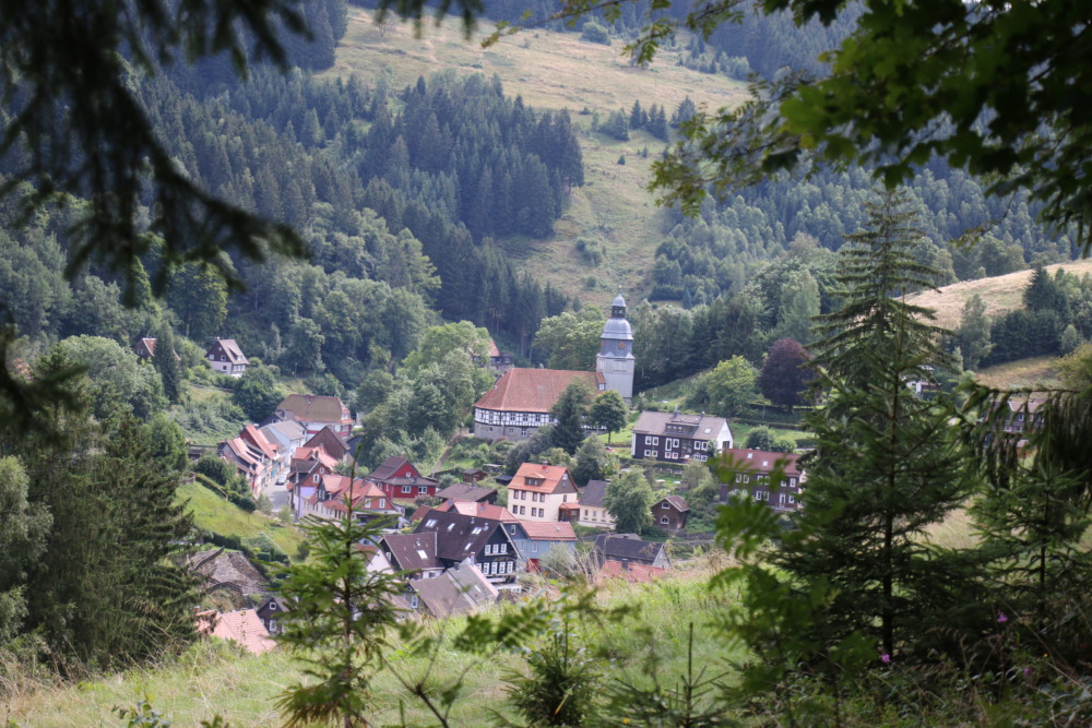 Wildemann - das Klein-Tirol vom Harz