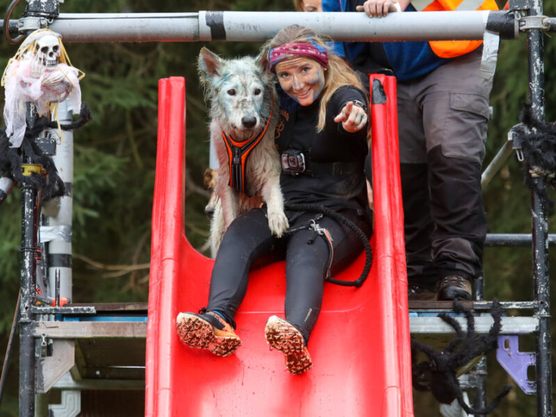 Laufen mit Hund: Unsere Events im Zughundesport