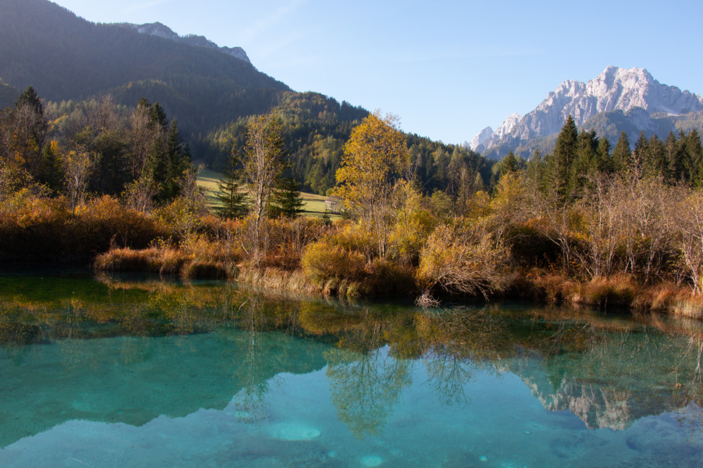 Naturreservat Zelenci Slowenien