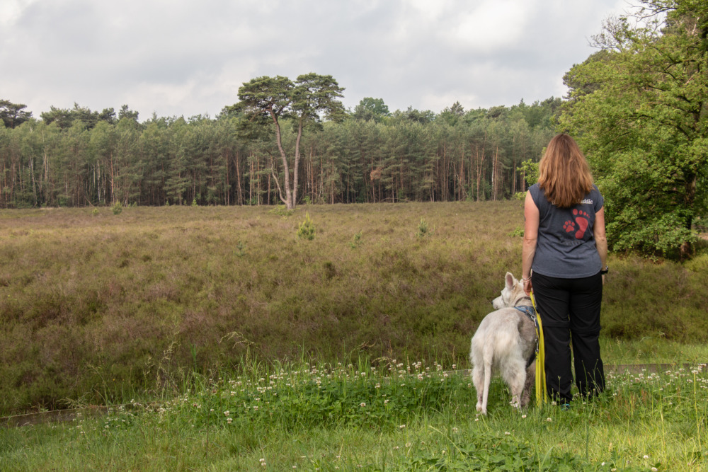 Wanderweg Liefdespad Ruurlo Achterhoek