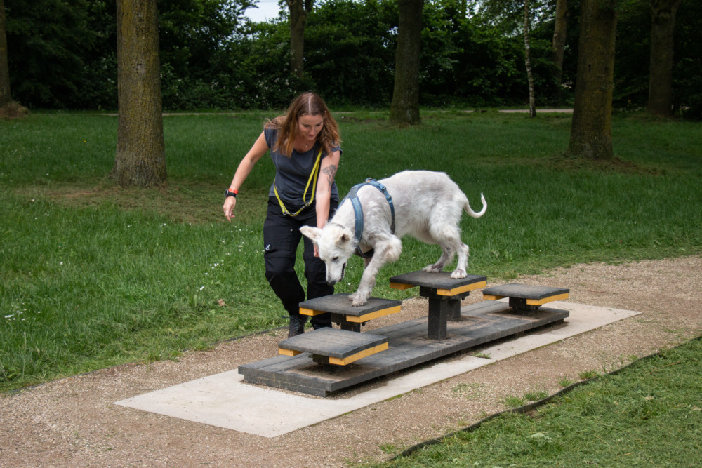 Agility Course am See Stroombroek (Leisurelands) im Achterhoek