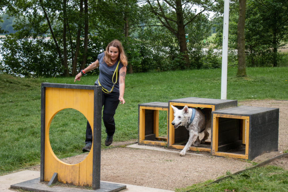 Agility Course am See Stroombroek (Leisurelands) im Achterhoek