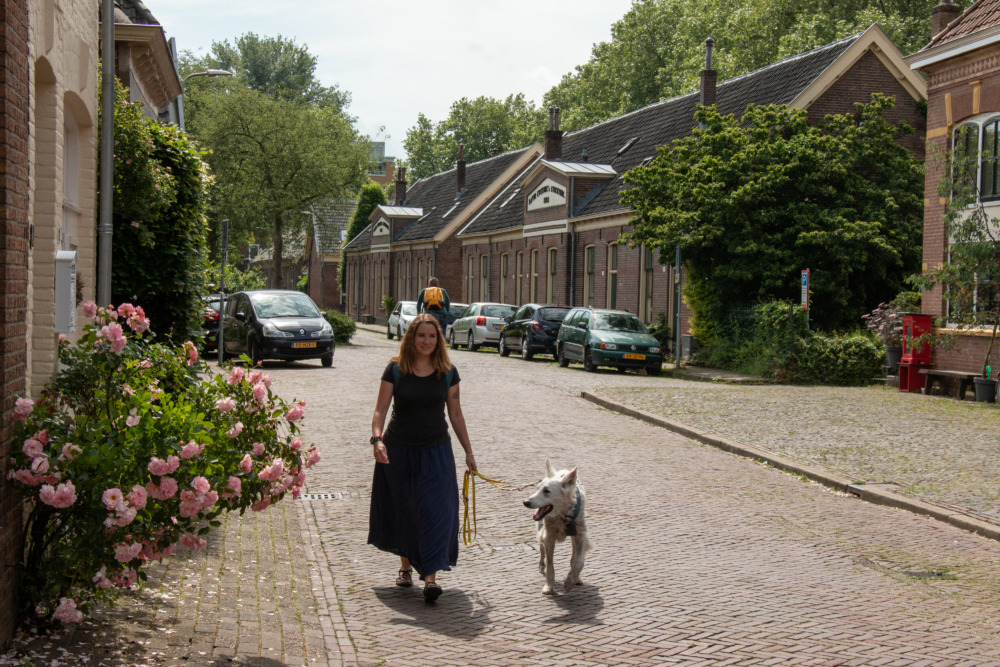 Hansestadt Zutphen im Achterhoek