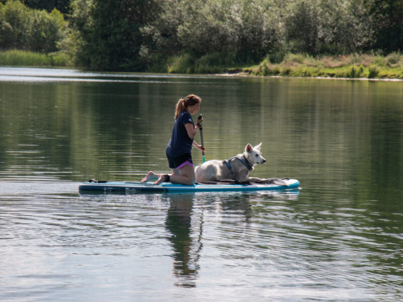 Aktiv-Urlaub mit Hund im malerischen Achterhoek in Holland